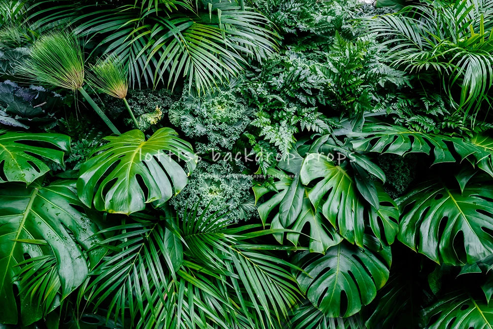 Plant Wall Backdrops Kids Adult Birthday Photography Props Child Baby Photocall Decors Colorful Leaves Zoo Jungle Background