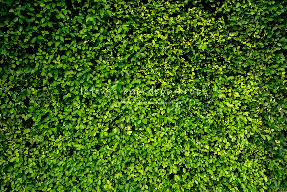 Green Grass Floor Backdrops Kids Adult Photography Props Child Baby Photocall Decors Photostudio Photo Background