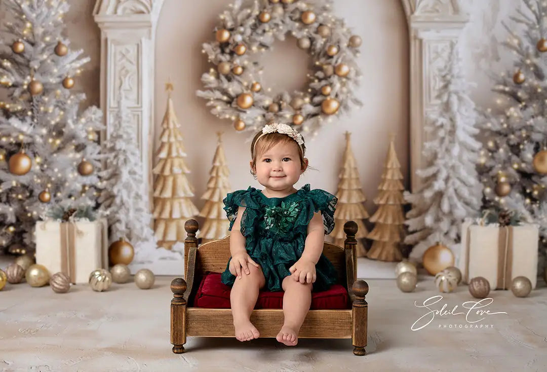 Elegant Arched Christmas Wall Backdrop Kids Baby Cake Smash Photography Props Child Adult Birthday Photo Shoot Backgrounds