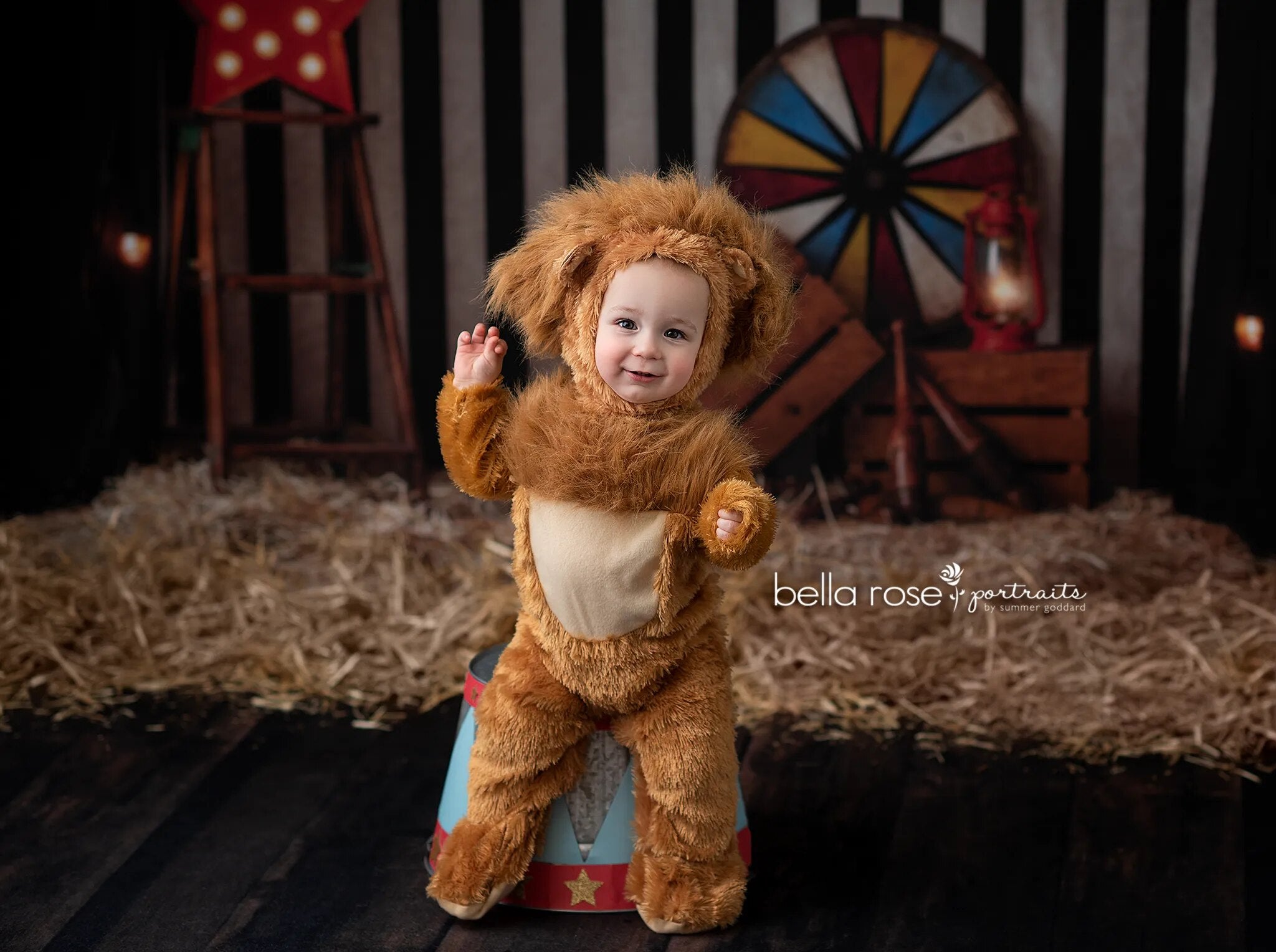 Le plus grand arrière-plan de cirque Showman, accessoires de photographie pour enfants et bébés, décors de séance photo pour enfants et adultes, arrière-plan de scène d'animaux 