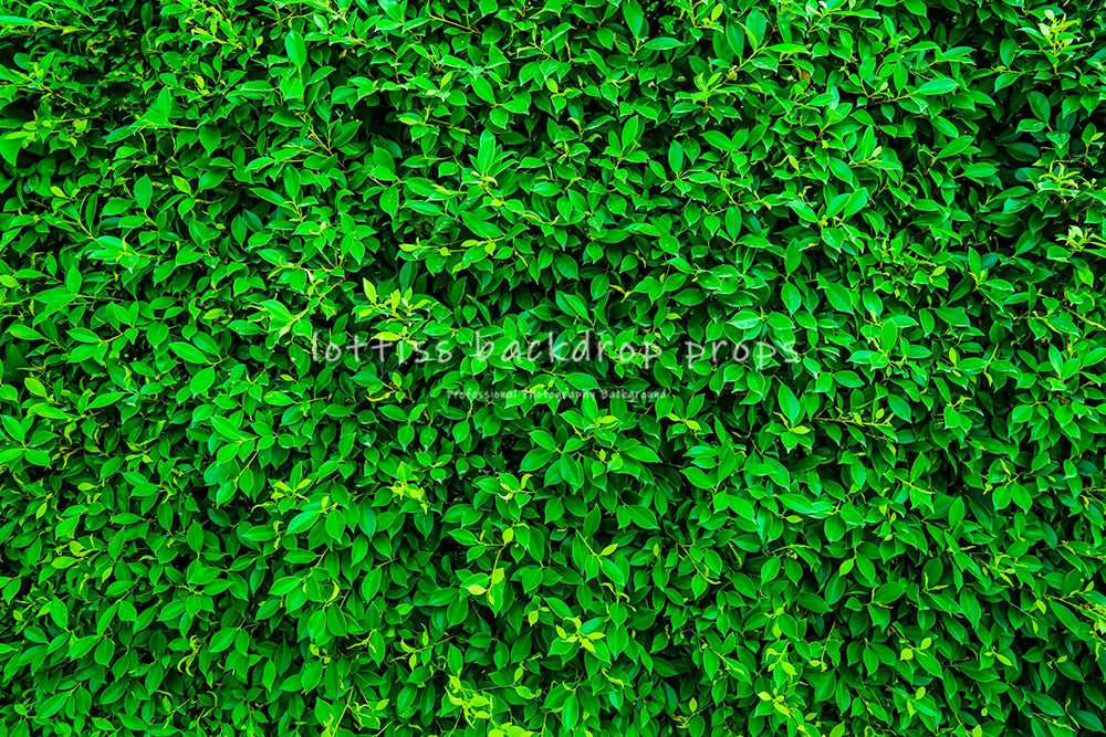 Green Grass Ground Backdrops Kids Adult Photography Props Child Baby Photocall Decors Ceremony Wedding Festival Photo Backdrops