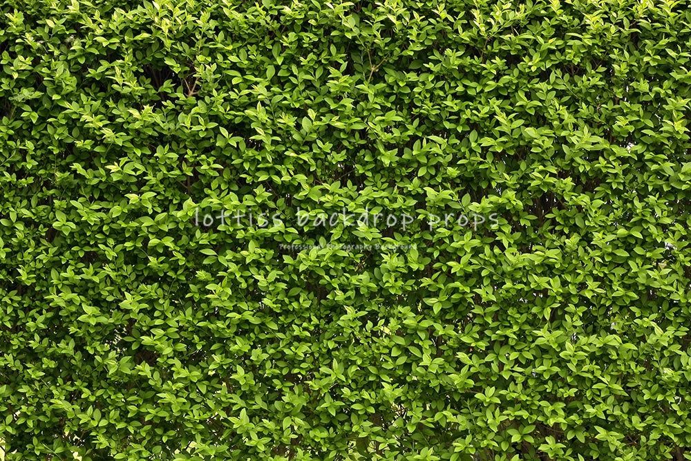 Green Grass Ground Backdrops Kids Adult Photography Props Child Baby Photocall Decors Ceremony Wedding Festival Photo Backdrops