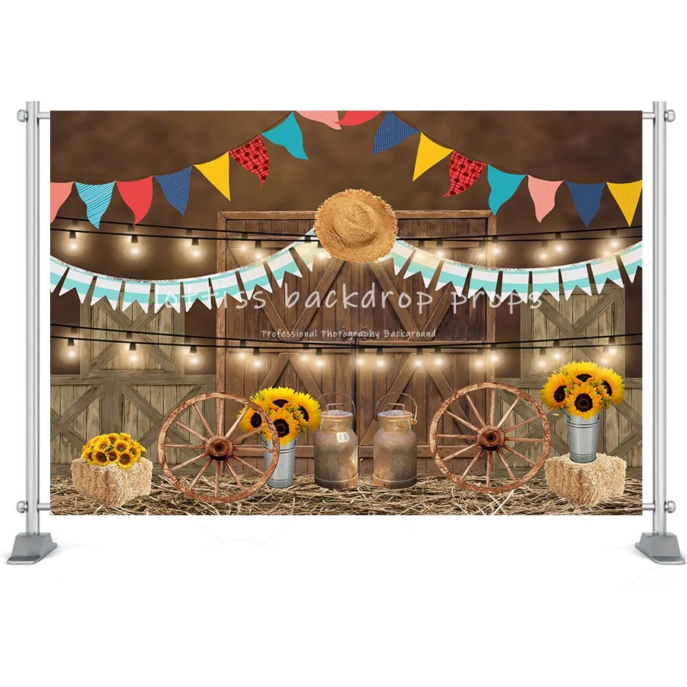 Mexico Fiesta Photography Background Barn Haystack Flower Desert Cactus Guitar Flags Kids Boy Birthday Party Decor Backdrop