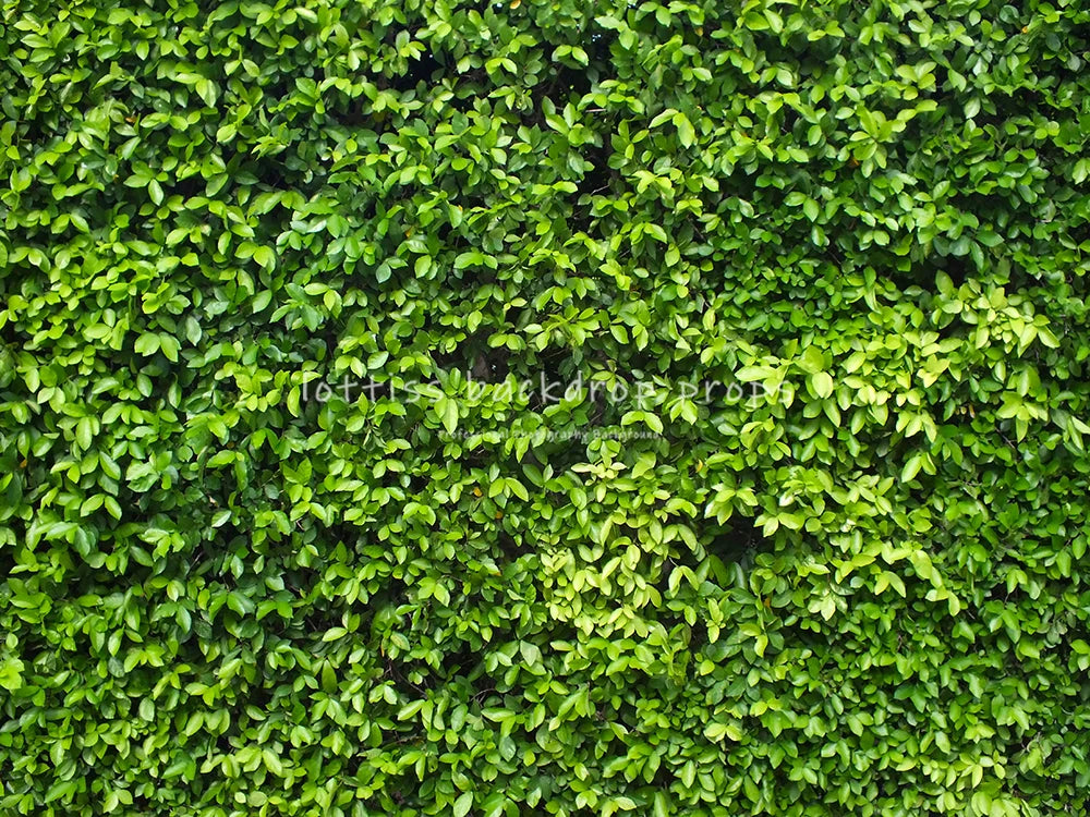 Green Grass Ground Backdrops Kids Adult Photography Props Child Baby Photocall Decors Ceremony Wedding Festival Photo Backdrops