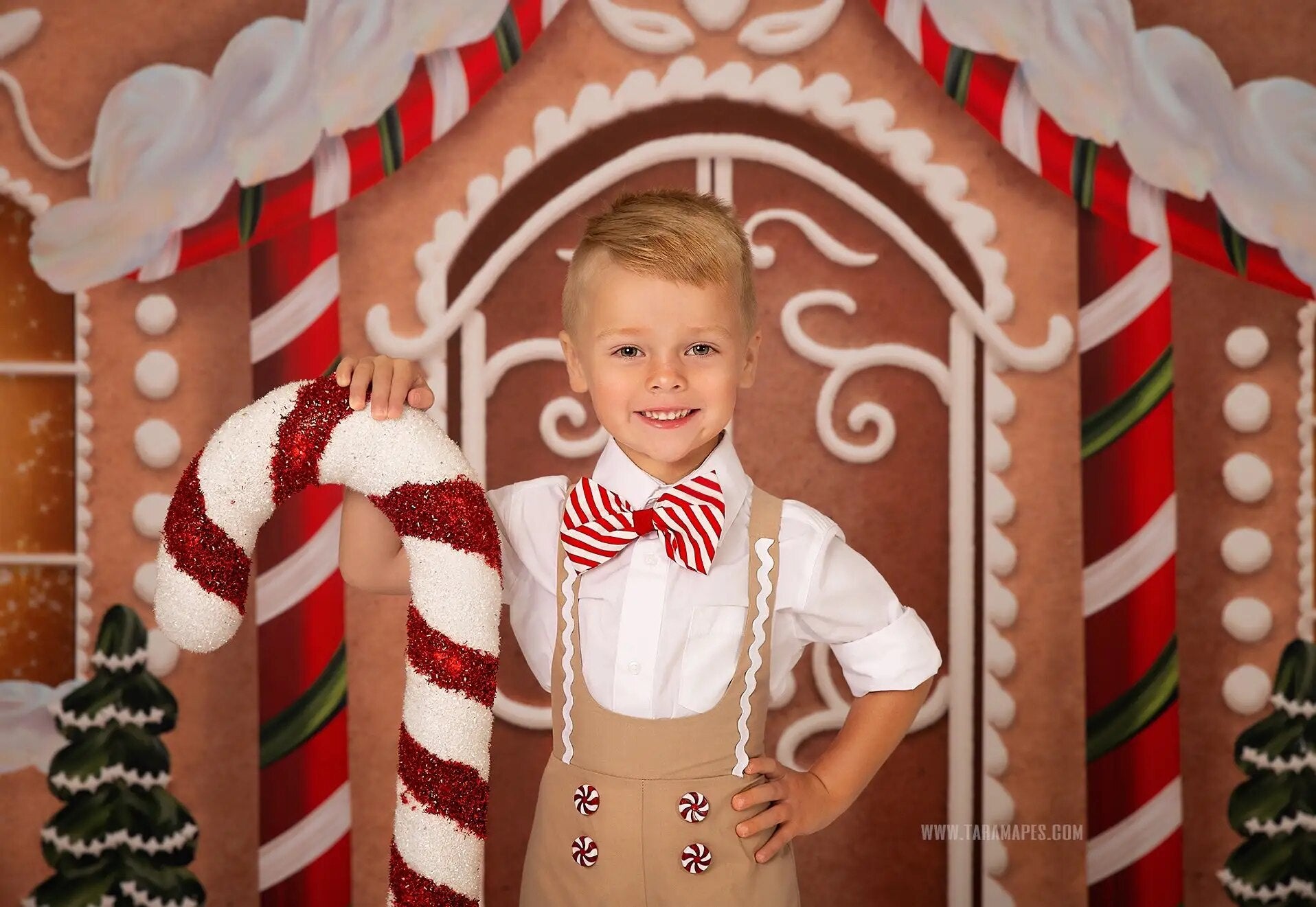 Christmas Store Front Photography Backdrops Child Adult Photocall Props Snowy House Door Background For Family Child Photostudio