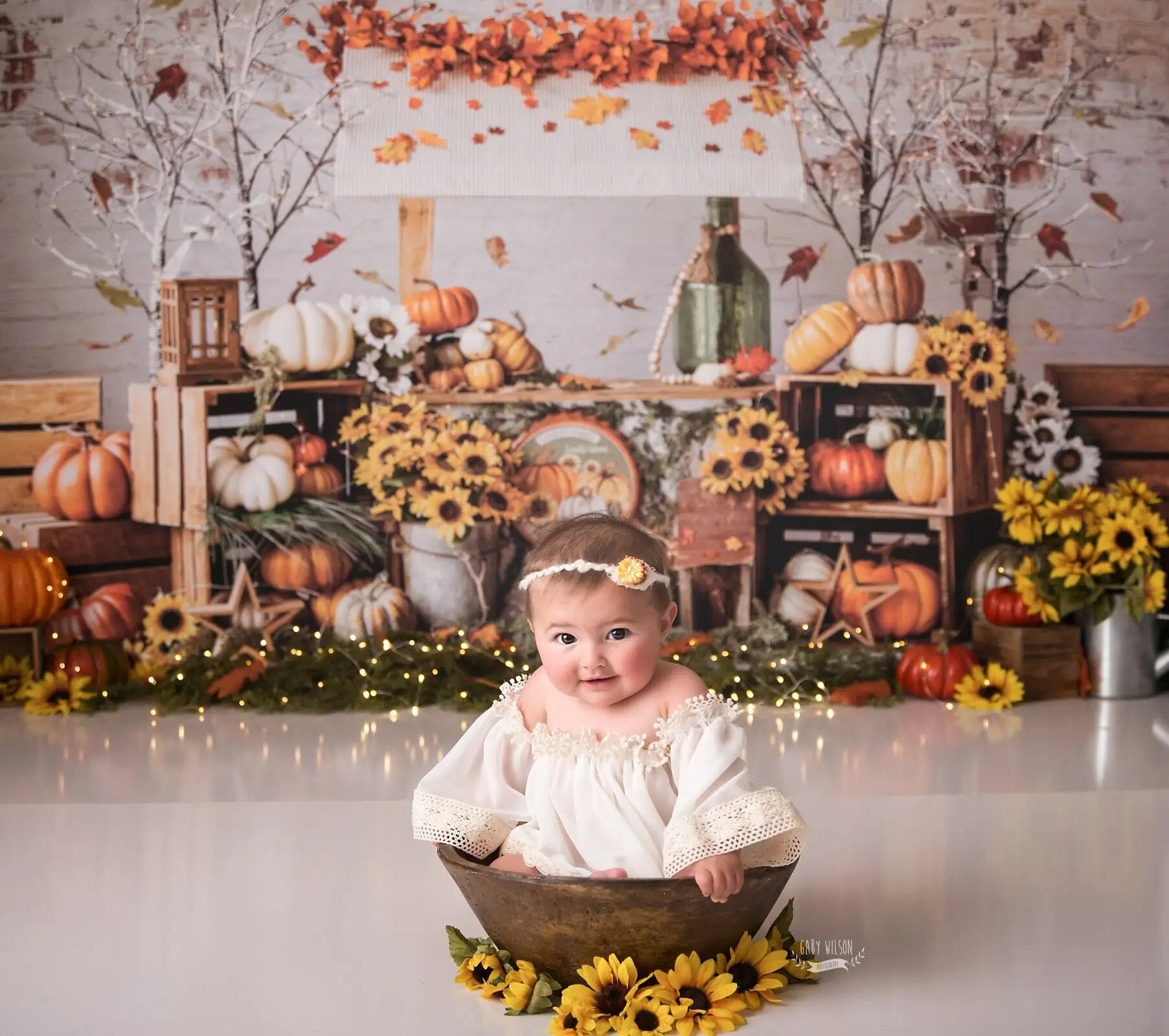 Arrière-plan de citrouille pour Festival d'automne, gâteau pour enfants, photographie Smash, Halloween, arrière-plan de récolte pare-chocs 