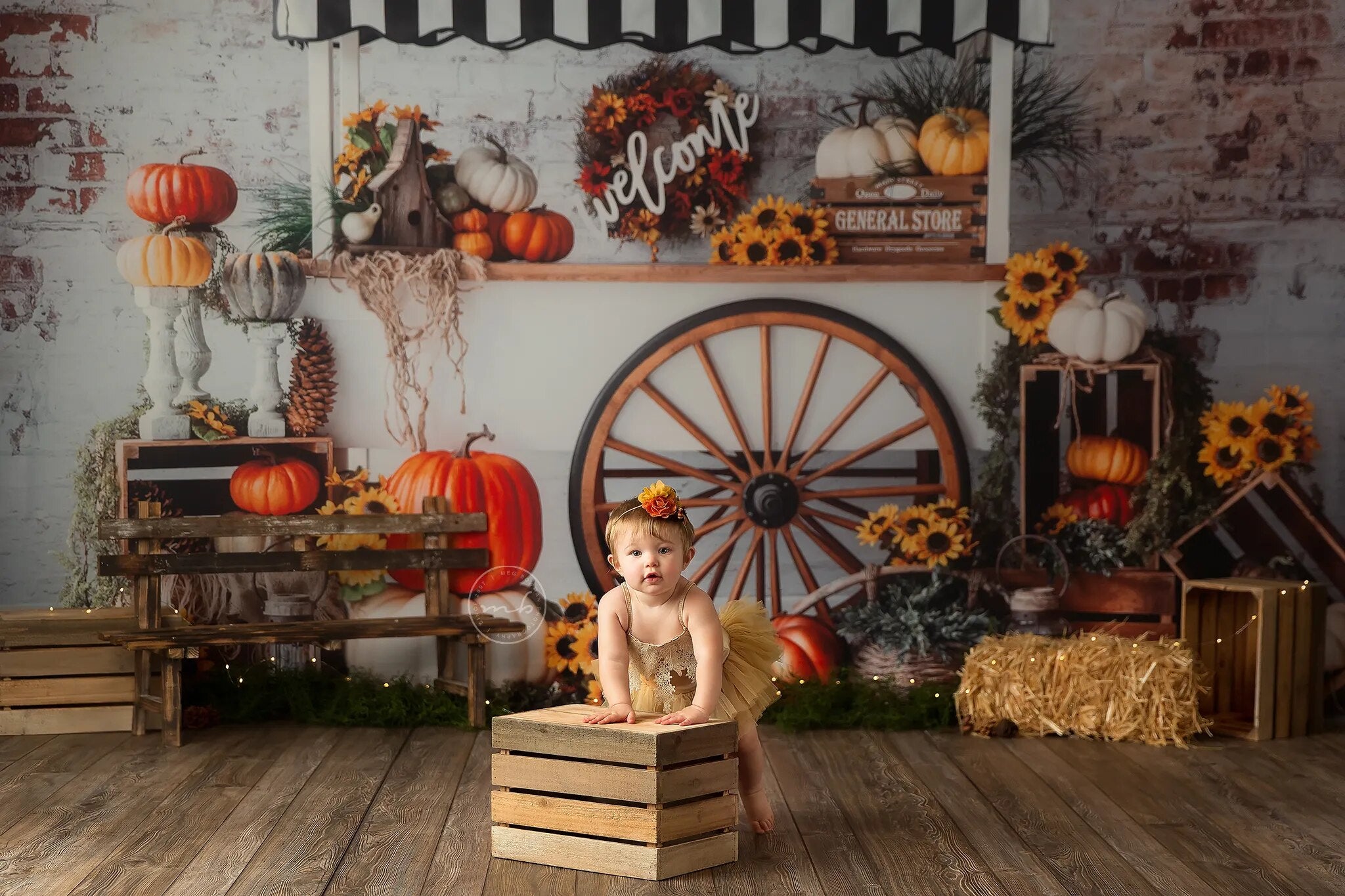 Pumpkin Cart Backdrops Child Photography Props Adult Child Baby Birthday Cake Smash Photocall Props Autumn  Background