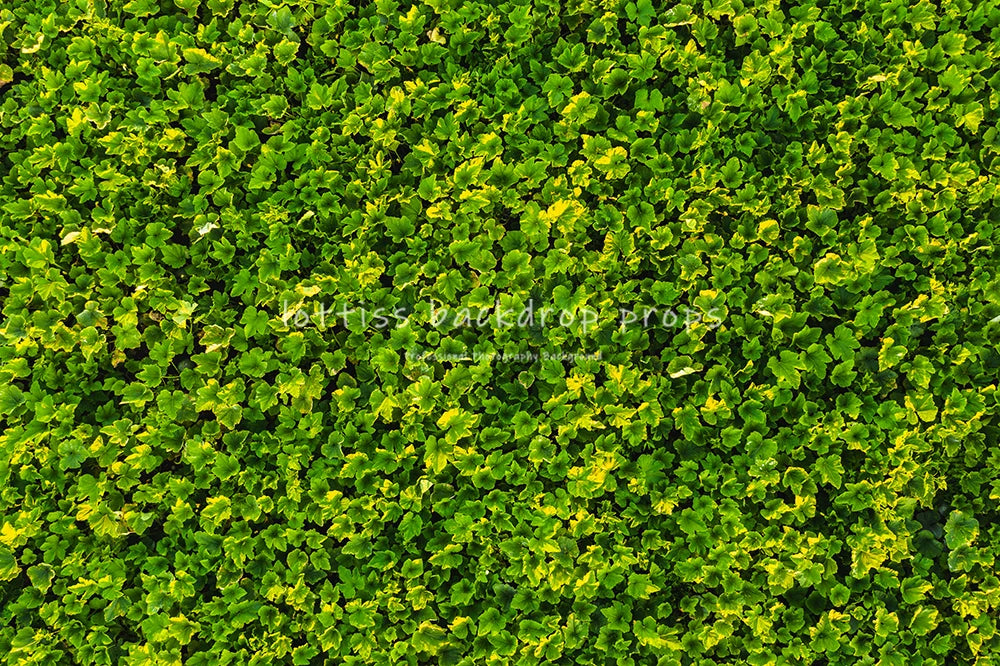 Green Grass Ground Backdrops Kids Adult Photography Props Child Baby Photocall Decors Ceremony Wedding Festival Photo Backdrops