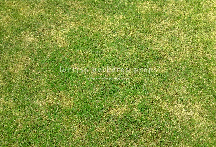 Light Grass Floor Backdrops Kids Adult Photography Props Child Baby Birthday Festvial Props Wedding Ceremony Backgrounds