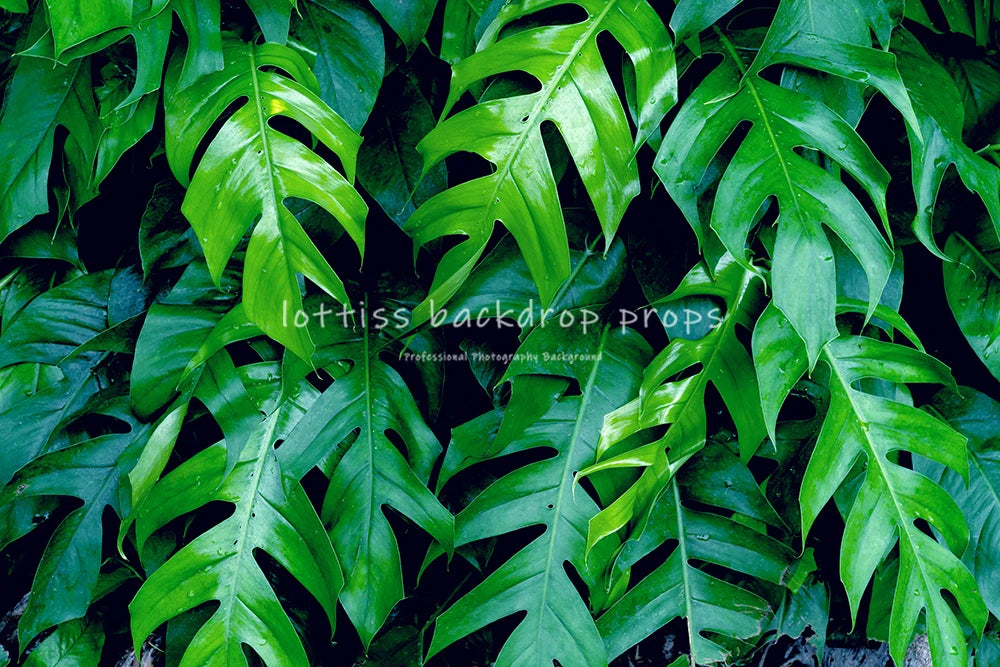 Plant Wall Backdrops Kids Adult Birthday Photography Props Child Baby Photocall Decors Colorful Leaves Zoo Jungle Background