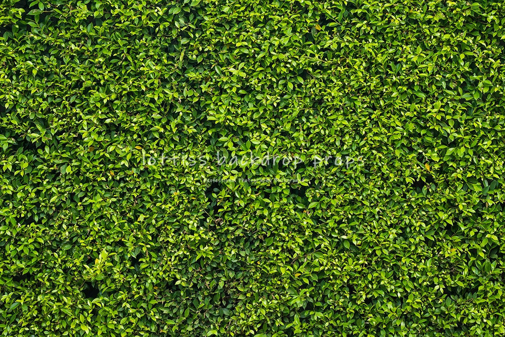 Green Grass Floor Backdrops Kids Adult Photography Props Child Baby Photocall Decors Photostudio Photo Background