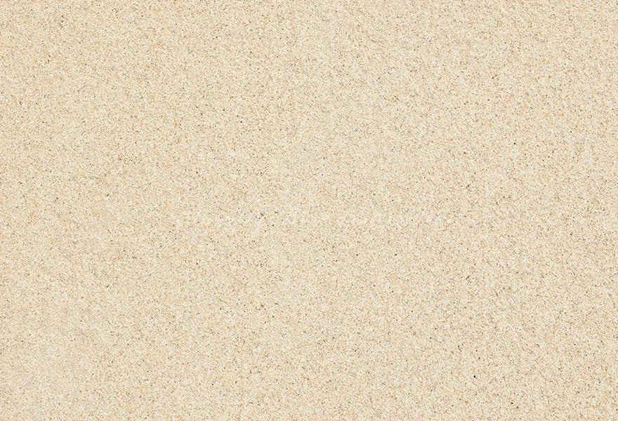 Coral Beach Sand Photography Backdrop Kids Baby Cake Smash Photocall Floor Backgrounds Child Adult Birthday Studio Photo Decors