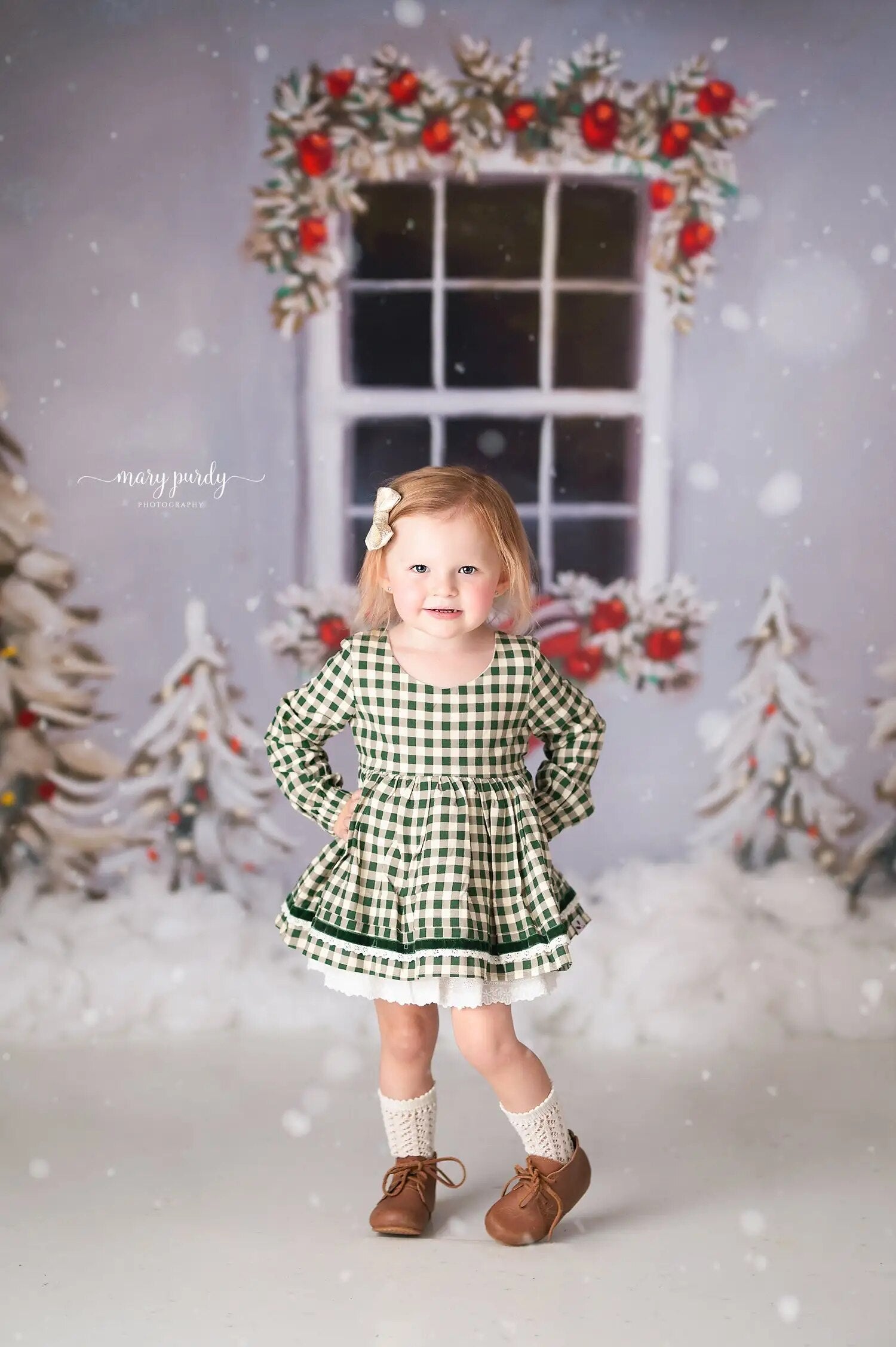 Arrière-plan de fenêtres enneigées, arbres de noël, photographie de Portrait de famille adulte, arrière-plan de flocon de neige d'hiver, accessoires de séance photo pour bébés et enfants 