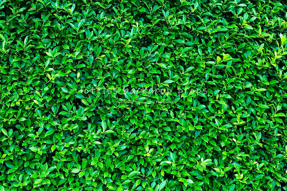 Green Grass Floor Backdrops Kids Adult Photography Props Child Baby Photocall Decors Photostudio Photo Background