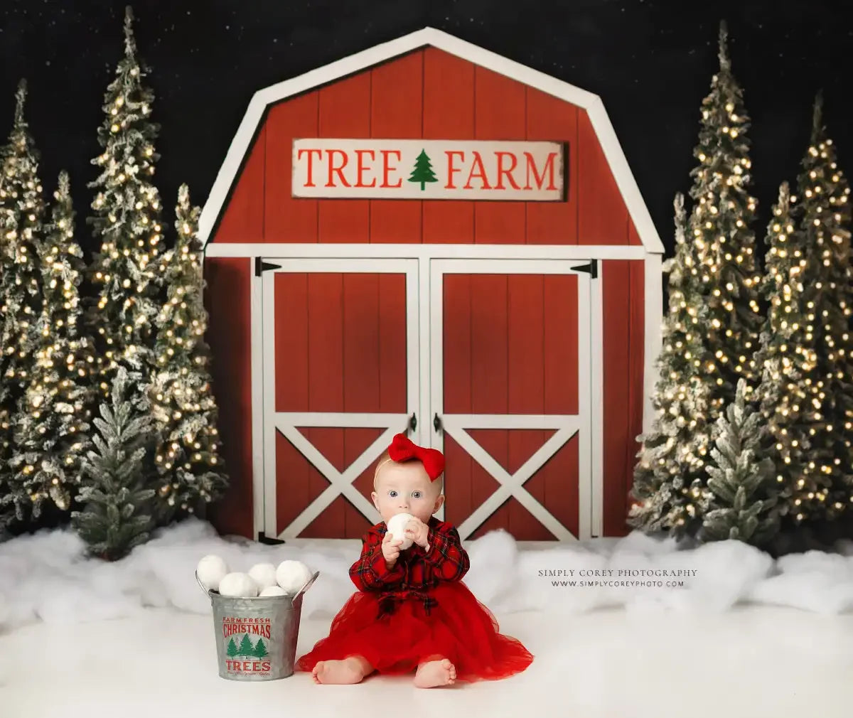 Tree Farm Barn Backdrops Kids Winter Portrait Photography Adult Child Cake Smash Snowy Forest Trees Background