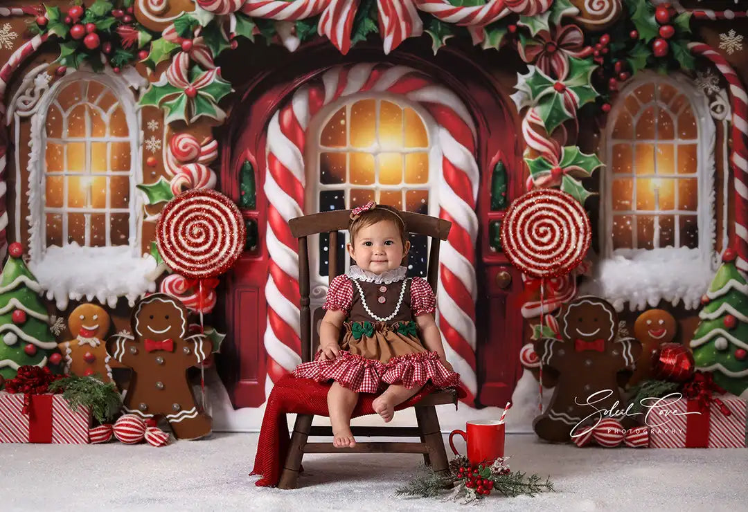 Elegant Arched Christmas Wall Backdrop Kids Baby Cake Smash Photography Props Child Adult Birthday Photo Shoot Backgrounds