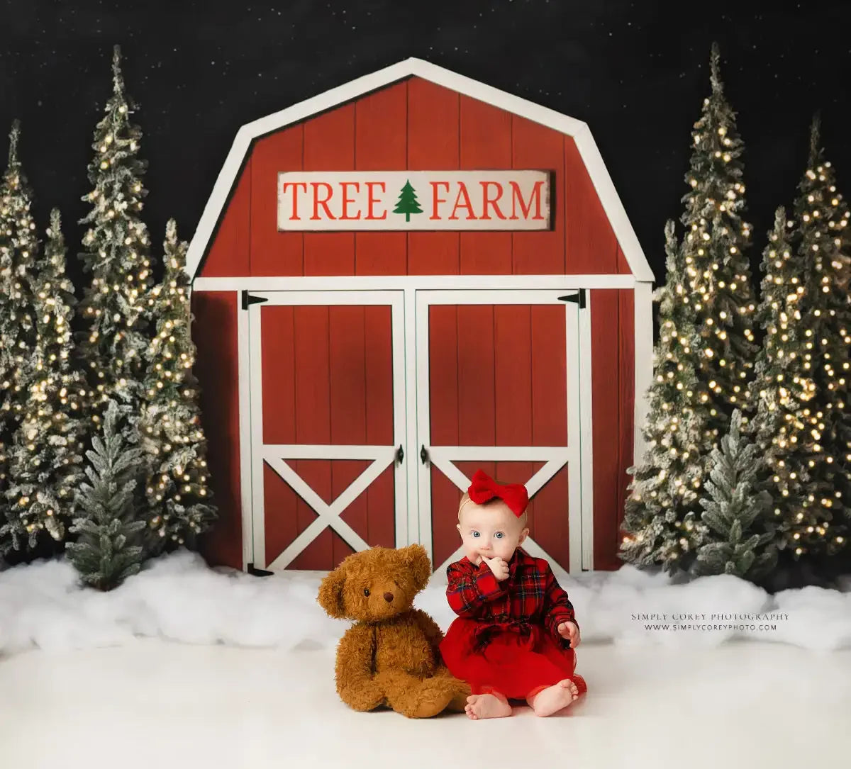 Tree Farm Barn Backdrops Kids Winter Portrait Photography Adult Child Cake Smash Snowy Forest Trees Background