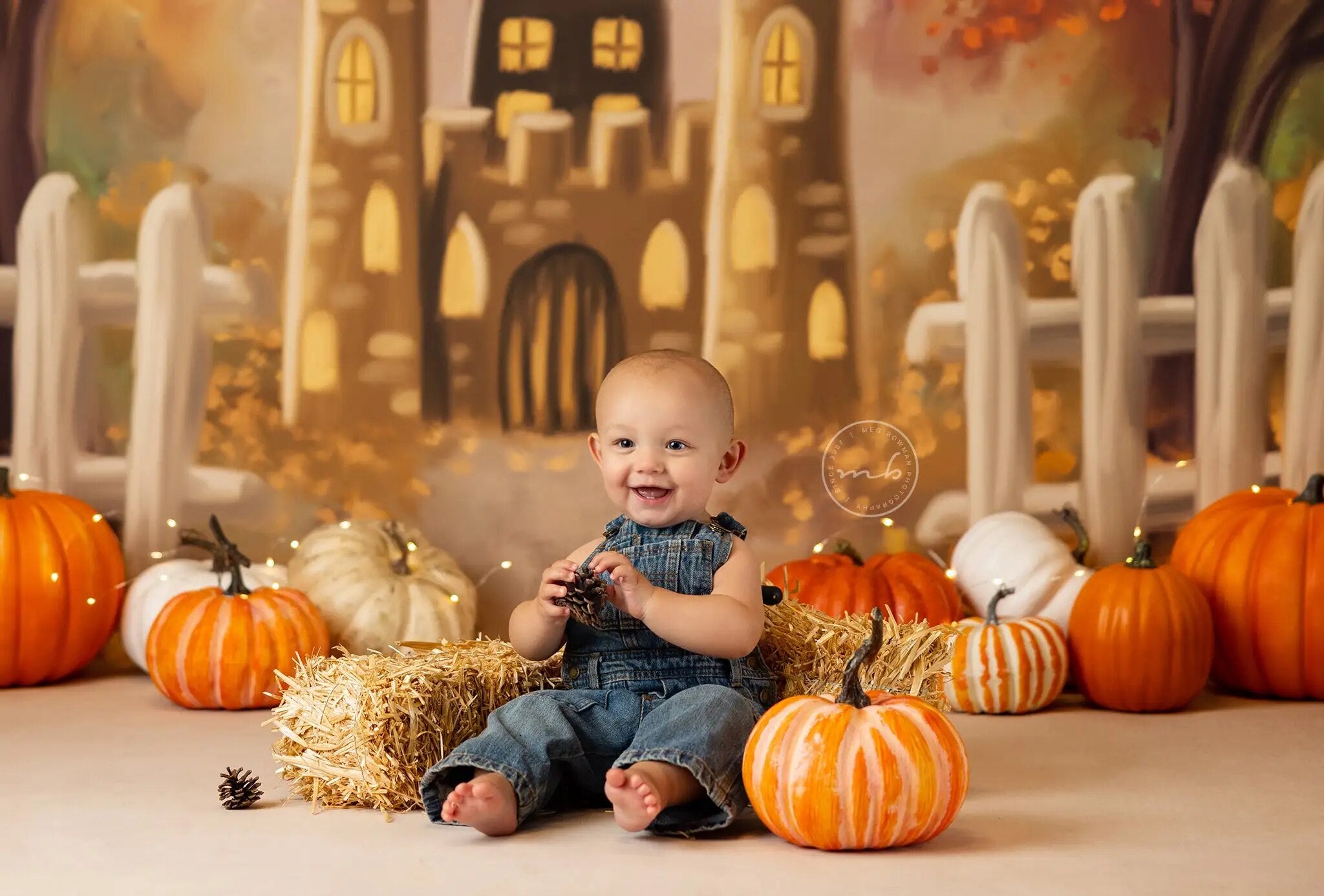 Arrière-plan du Festival de la citrouille d'automne, photographie d'enfants, de bébés, d'enfants et d'adultes, pour séance photo alors que les feuilles tournent, arrière-plan du château d'automne 