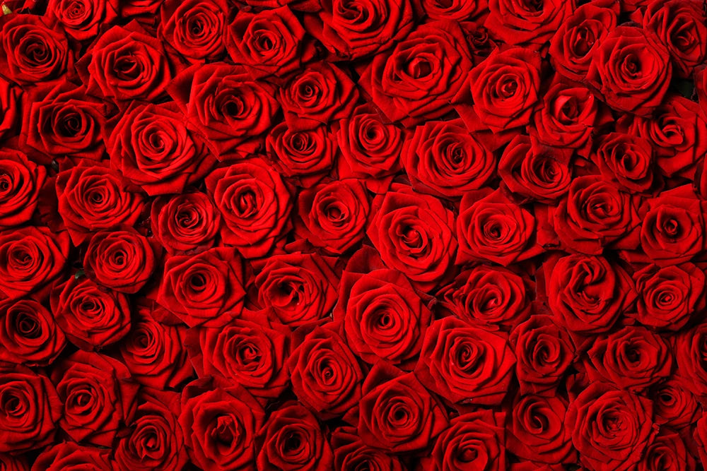 Red Floral Wall Backdrop Kids Adult Photography Props Child Baby Photocall Cake Smash Decor Wedding Birthday Ceremony Background