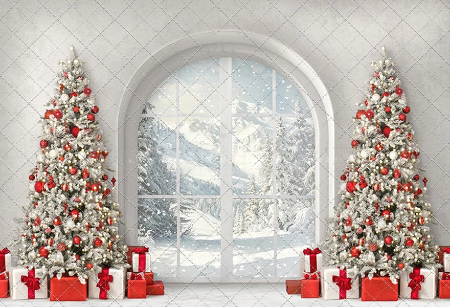 Elegant Christmas Morning View Backddrop Winter Arch Window Kid Baby Cake Smash Photography Props Child Family Studio Background