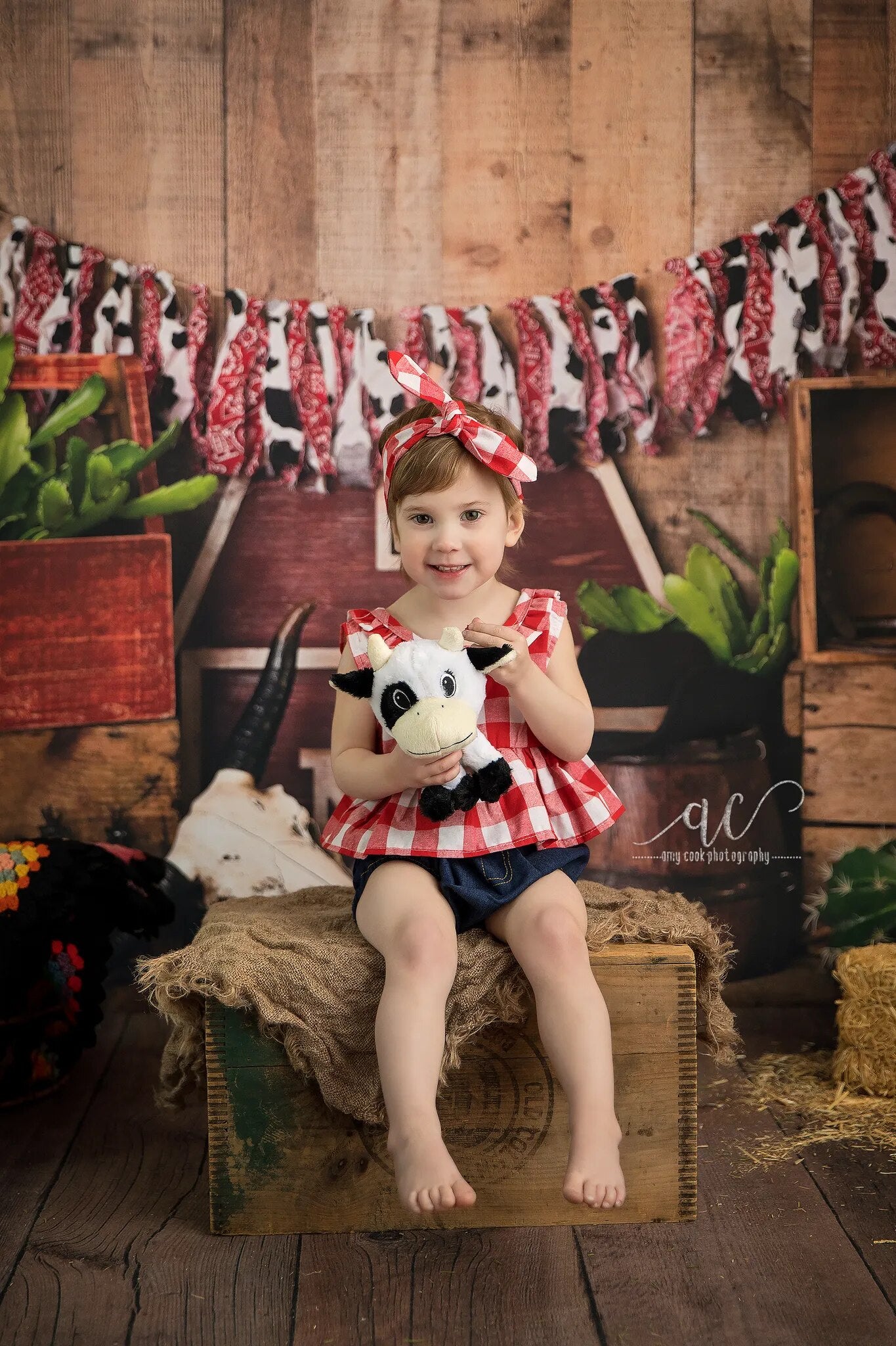 Cowboy Up Backdrops Boy Girl Cake Smash Photography Kids Baby Birthday Photocall Decors Mexico Desert Background