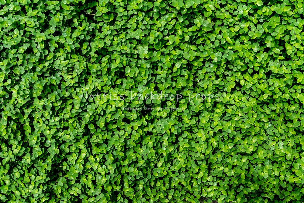 Green Grass Floor Backdrops Kids Adult Photography Props Child Baby Photocall Decors Photostudio Photo Background