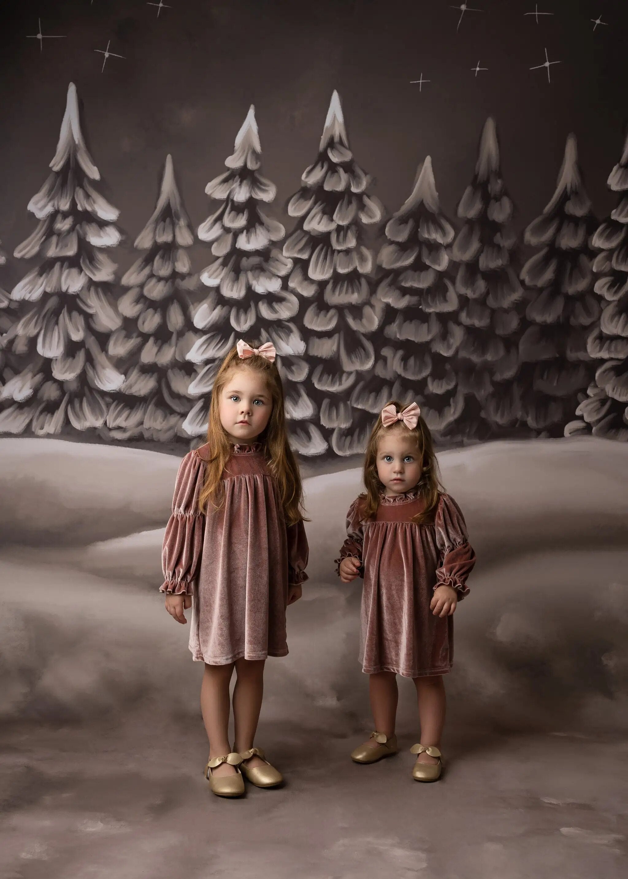 Winter Cocoa Forest Backdrops Adult Child Portrait Photography For Photostudio Snowflake Xmas Snowy Trees Background