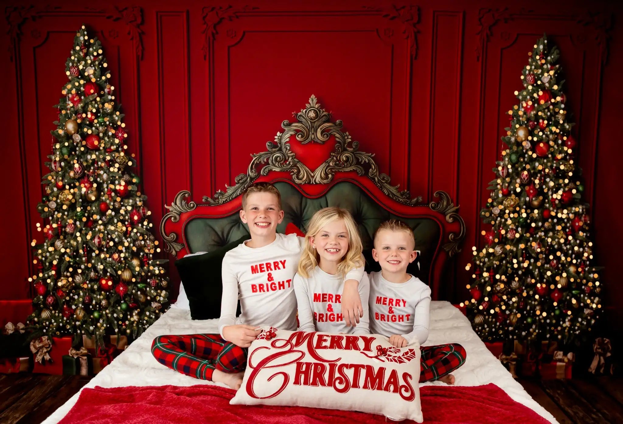 Regal Red Green Headboard Backdrop Kids Baby Cake Smash Photography Props Christmas Tree Child Adult Family Photo Studio Decors