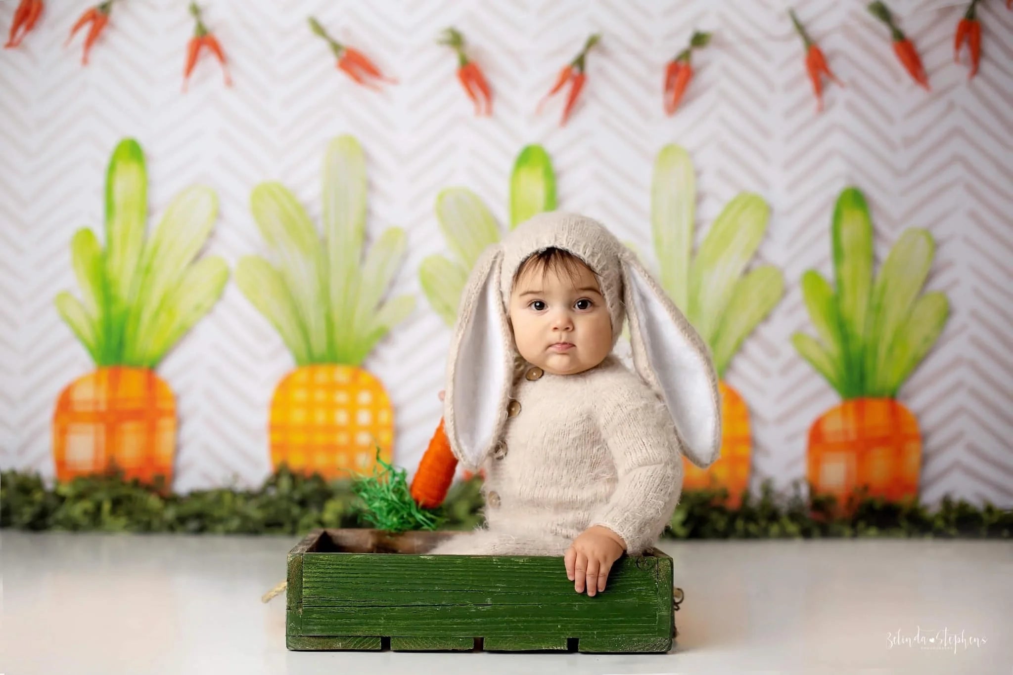 Easter Carrots Farm Backdrops Kids Baby Birthday Cake Smash Photocall Decors Spring Garden Backgrounds