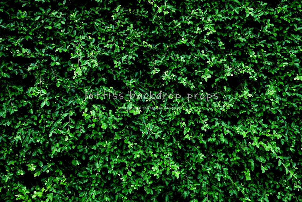 Dark Grass Floor Backdrops Kids Adult Photography Props Baby Child Photocall Decors Wedding Ceremony Birthday Photo Background