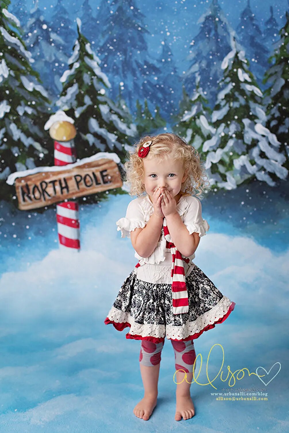 Christmas To the North Pole Backdrop Baby Kids Photography Props Child Adult Birthday Decors Xmas Snow Forest Backgorund