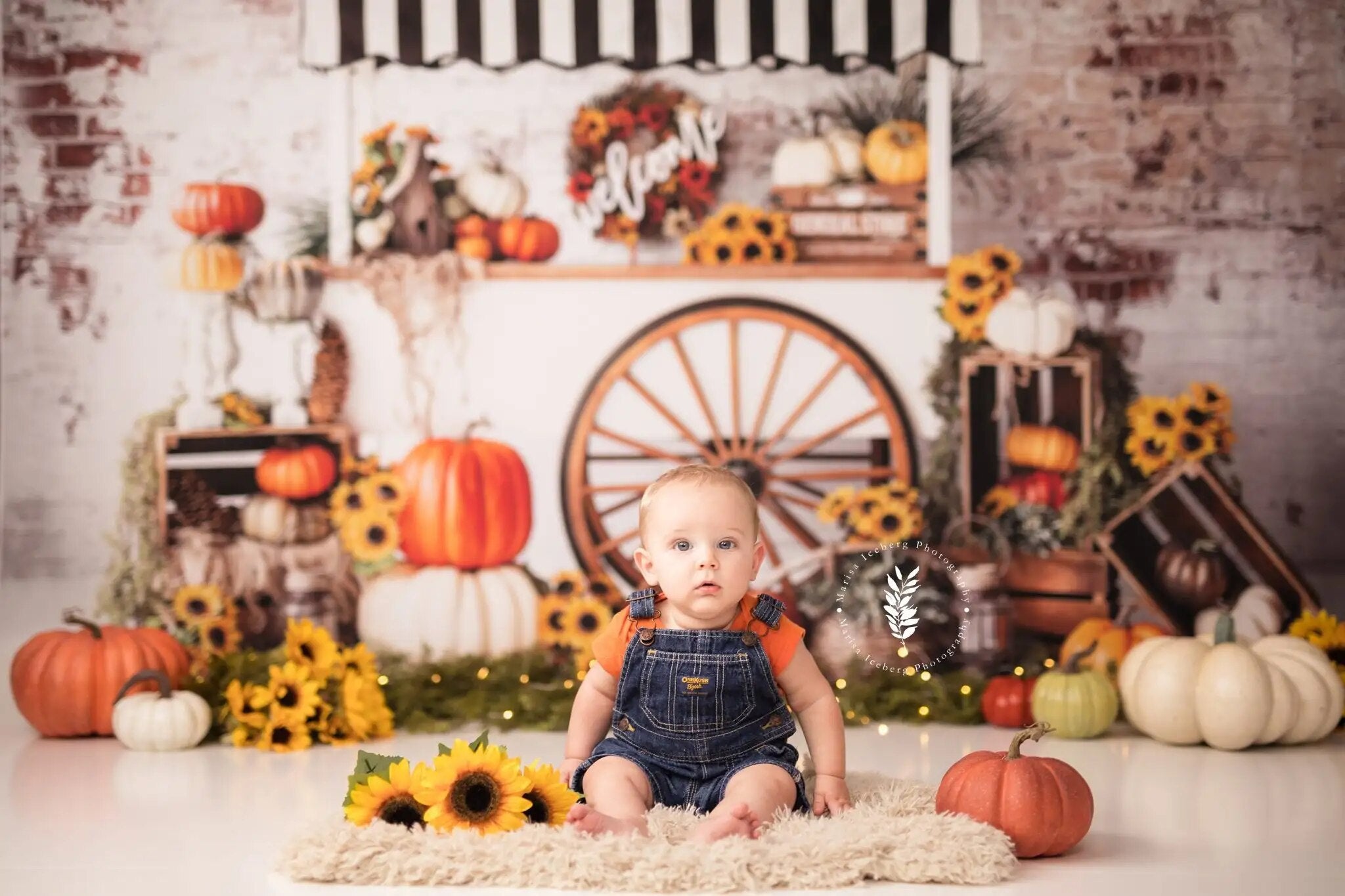 Pumpkin Cart Backdrops Child Photography Props Adult Child Baby Birthday Cake Smash Photocall Props Autumn  Background