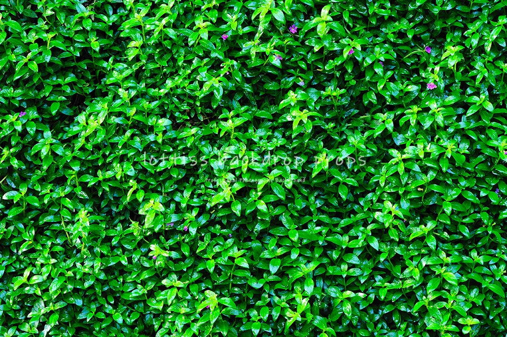 Green Grass Ground Backdrops Kids Adult Photography Props Child Baby Photocall Decors Ceremony Wedding Festival Photo Backdrops