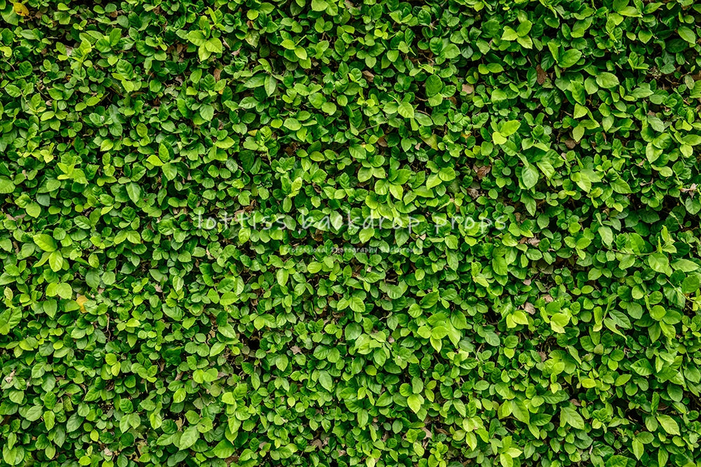 Green Grass Floor Backdrops Kids Adult Photography Props Child Baby Photocall Decors Photostudio Photo Background